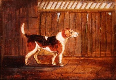 Um Cão de Caça de Anonymous Anonymous