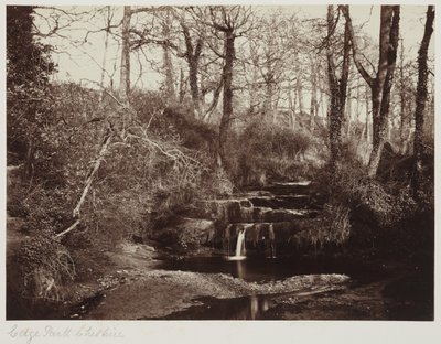 Edge Park, Cheshire, c.1865 (impressão albuminada a partir de negativo de vidro) de Anonymous Anonymous