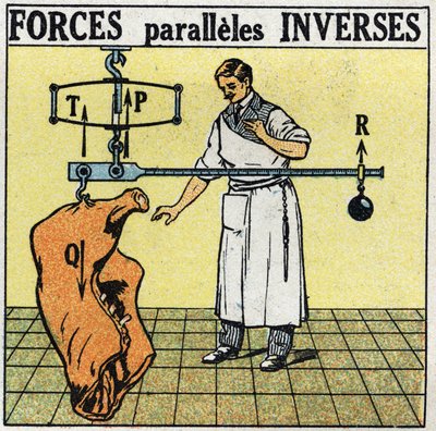 Forças: inverter forças paralelas. Um açougueiro que pesa uma carcaça de carne com uma balança romana. Ilustração anónima de 1925. Colecção privada. de Anonymous Anonymous