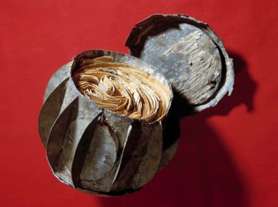 Les Boules de Moulins: esferas de zinco utilizadas no cerco de Paris em 1870 para transmitir correio que os parisienses já não podiam receber. Foram atiradas para o Sena e recuperadas pelos habitantes de Anonymous Anonymous