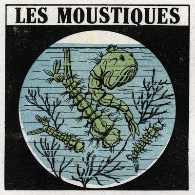 Projecção de luz: uso de uma lanterna de projecção para observar as larvas de mosquito. Ilustração anónima a partir de 1925. Colecção privada. de Anonymous Anonymous