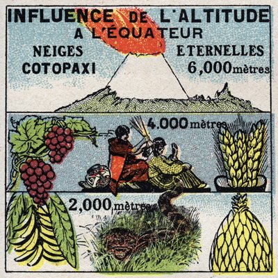 Meteorologia: influência da altitude no clima. Ilustração anónima de 1925. Coleção particular. de Anonymous Anonymous