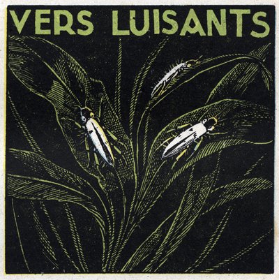 Fosforescência: verdes brilhantes. Ilustração anónima de 1925. Coleção privada. de Anonymous Anonymous