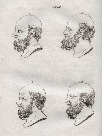Fisiognomia - Fisiognomonia - Várias cabeças do filósofo grego Sócrates (ca. 469 AC-399 AC) (Busto de Sócrates (ca. 469 AC-399 AC), filósofo ateniense) gravura de 1808 em "A arte de conhecer os homens através da fisionomia" de Johann Gaspar (Gaspard) Lavat de Anonymous Anonymous
