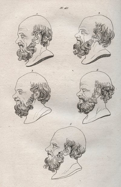 Fisiognomia - Fisiognomonia - Várias cabeças do filósofo grego Sócrates (ca. 469 AC-399 AC) (Busto de Sócrates (ca. 469 AC-399 AC), filósofo ateniense) gravura de 1808 em "A arte de conhecer os homens através da fisionomia" de Johann Gaspar (Gaspard) Lavat de Anonymous Anonymous