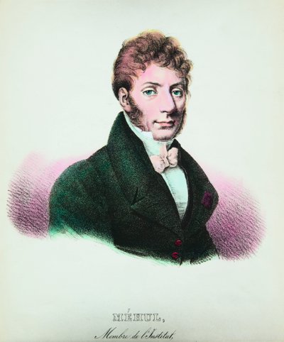 Retrato do compositor Etienne Nicolas Mehul (1763-1817), Coleção Privee de Anonymous Anonymous