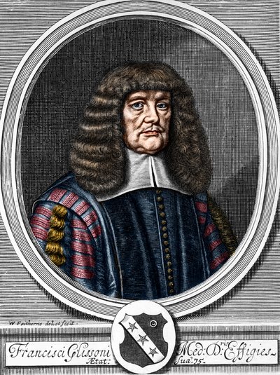 Retrato de Francis Glisson (1599-1677) Médico britânico, anatomista. de Anonymous Anonymous