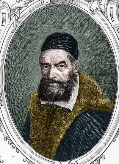 Retrato de Jacopo Palma il Vecchio (Antigo ou Antigo de Anonymous Anonymous