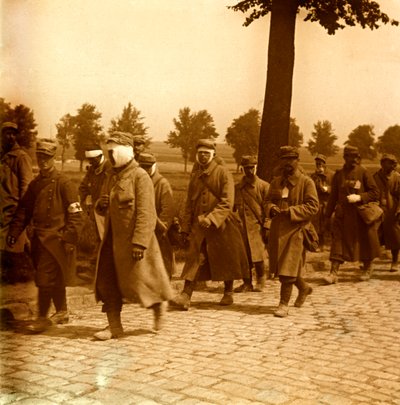 Placa de vidro estereoscópica na Primeira Guerra Mundial (1ª Guerra Mundial, Iere de Anonymous Anonymous