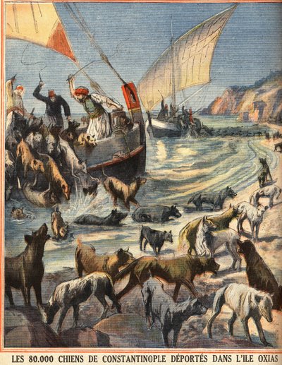 Os 80.000 cães vadios de Constantinopla (Istambul, Turquia) partem para a ilha de Oxias. Gravação em "Le petit parisien" no dia 08/07/1910. Coleção particular. de Anonymous Anonymous