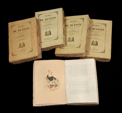 As Obras Completas de Buffon (1707 - 1788) - coleção particular de Anonymous Anonymous