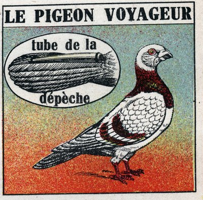 Os Correios: The Traveller Pigeon. Ilustração anónima de 1925. Colecção privada. de Anonymous Anonymous