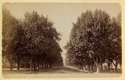 A cidade de Marselha e seus arredores por volta de 1885 -1890: o Prado, coleção particular de Anonymous Anonymous