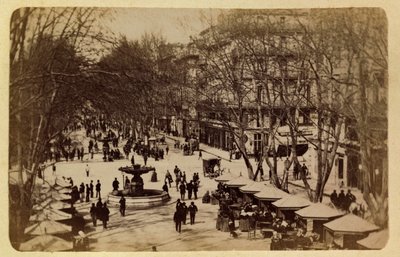 A cidade de Marselha e arredores cerca de 1885 -1890: O Caminho das Flores, Cursos Saint Louis, Coleção Particular de Anonymous Anonymous