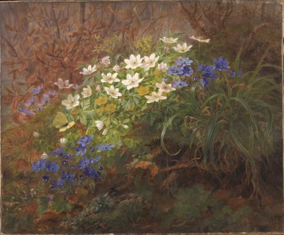 Anêmonas de Anthonie Christensen