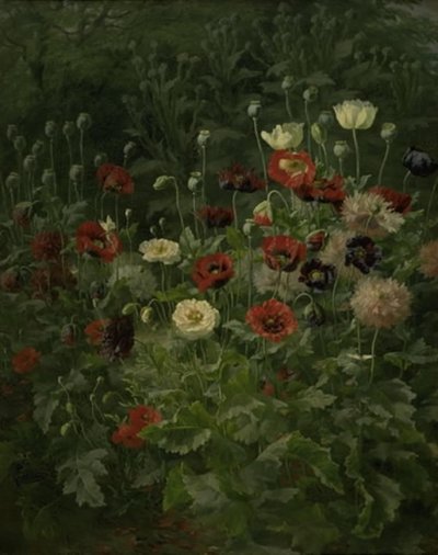 Papoilas de Anthonie Christensen