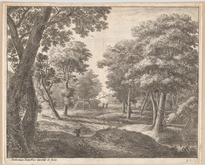 Um caminho pela floresta, século XVII. de Anthonie Waterloo