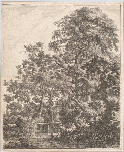 Floresta. de Anthonie Waterloo