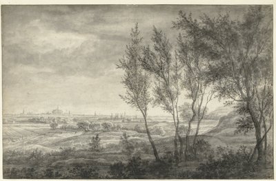 Vista de Haarlem a partir das dunas de Anthonie Waterloo