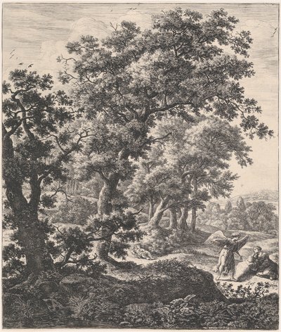 Floresta. de Anthonie Waterloo