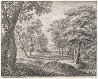 A estrada através da floresta, século XVII. de Anthonie Waterloo