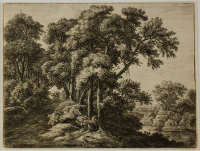 O caminho arborizado de Anthonie Waterloo