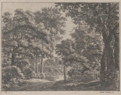 Os Bosques Aparados, século XVII. de Anthonie Waterloo