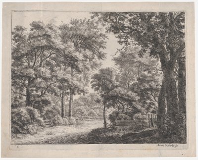 Os Bosques Aparados, século XVII. de Anthonie Waterloo