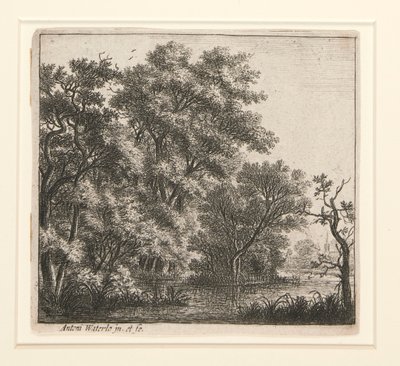 A ilha arborizada de Anthonie Waterloo