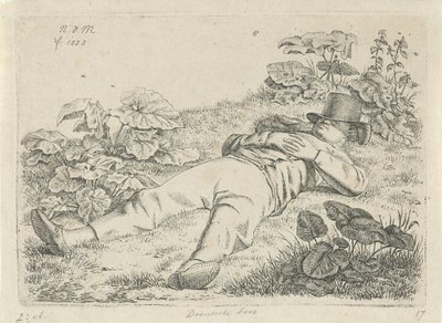 Homem deitado na grama Drentsche fazendeiro (título no objeto) de Anthonie Willem Hendrik Nolthenius de Man