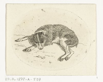 cachorro deitado de Anthonie van den Bos