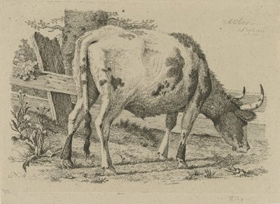 Vaca de pasto perto de uma cerca
Estudos de vacas, ovelhas e cabras (título da série) de Anthony Oberman