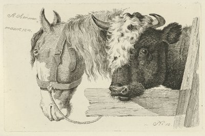 Cabeça de cavalo e cabeça de touro
Estudos de vacas, ovelhas e cabras (título da série) de Anthony Oberman