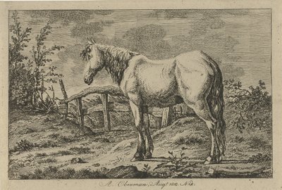 Cavalo em pé
Estudos de vacas, ovelhas e cabras (título da série) de Anthony Oberman