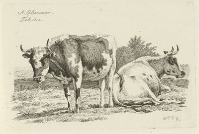 Vaca em pé e deitada Estudos de vacas, ovelhas e cabras (título da série) de Anthony Oberman