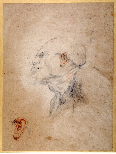 Bandagem da cabeça de um homem, sua orelha esquerda ensaiada separadamente (gizes pretos e vermelhos sobre papel) de Anthony van Dyck