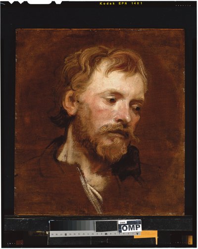 Um homem barbudo, um estudo de Anthony van Dyck