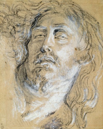 Cabeça do Cristo morto (carvão e giz no papel) de Anthony van Dyck