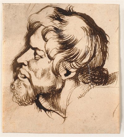 A cabeça de um homem de Anthony van Dyck