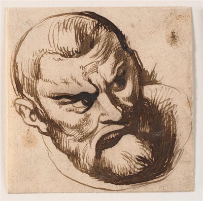 Mandehoved de Anthony van Dyck