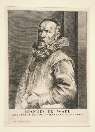 Retrato de Jan de Wael (1558-1633) de Anthony van Dyck