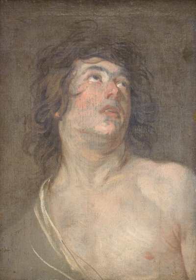 Cabeça de estudo de um jovem olhando para cima. São Sebastião de Anthony van Dyck