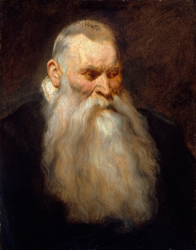 Estude a Cabeça de um Velho de Barba Branca, ca. 1617-20. de Anthony van Dyck