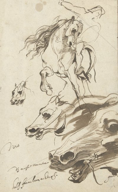 Estudo de Cavaleiro e Cabeça de Cavalo, 1620-1 (caneta e wc no papel) de Anthony van Dyck