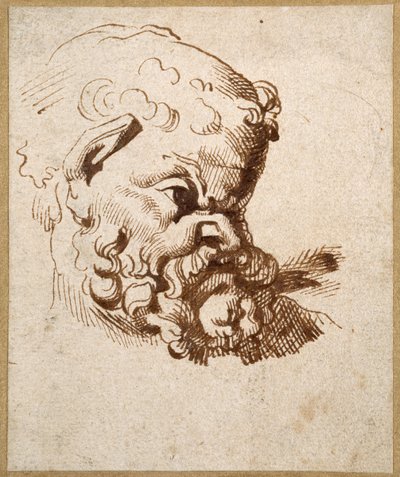 Estudo de uma cabeça antiga de Silenus (caneta e tinta sobre papel) de Anthony van Dyck