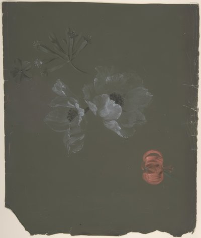 Desenho Floral de Antoine Berjon