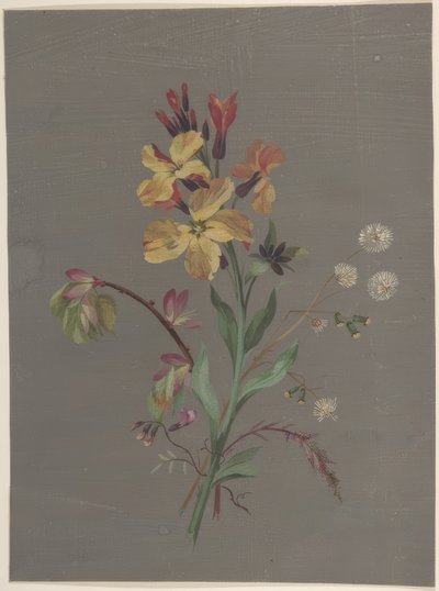 Desenho Floral de Antoine Berjon