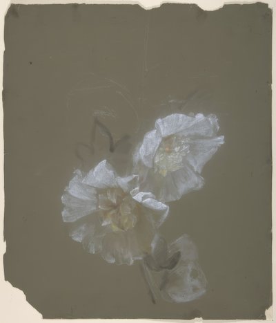 Desenho Floral de Antoine Berjon