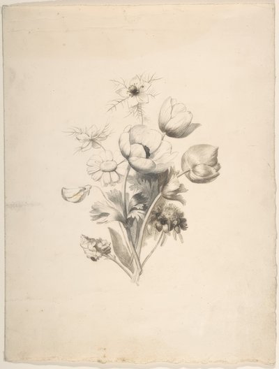 Desenho Floral de Antoine Berjon