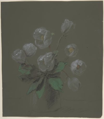 Desenho Floral de Antoine Berjon